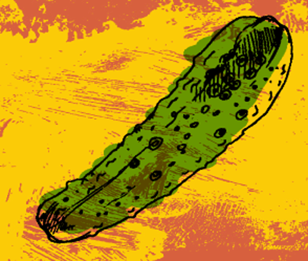 pickles-3 - Yated.com