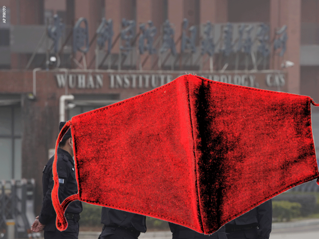 The Cover-Up